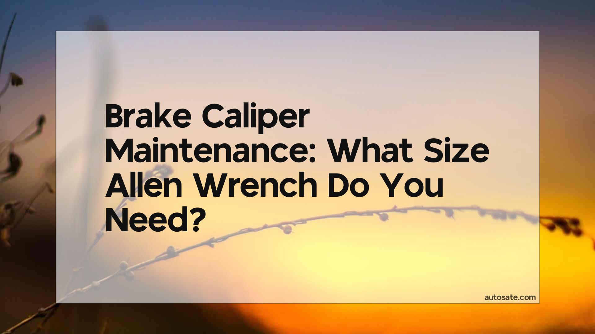Brake Caliper Maintenance: What Size Allen Wrench Do You Need?