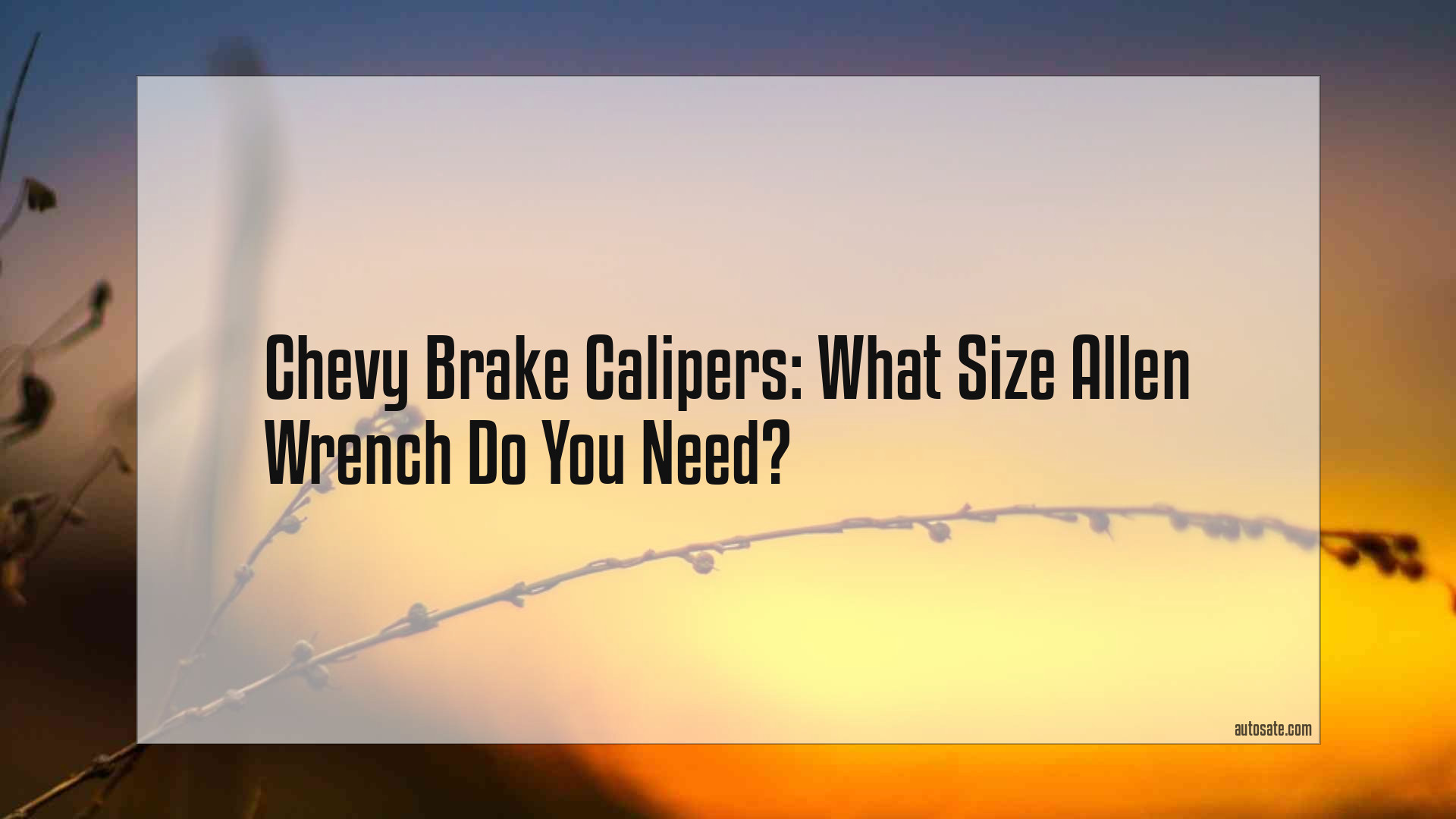 Chevy Brake Calipers: What Size Allen Wrench Do You Need?