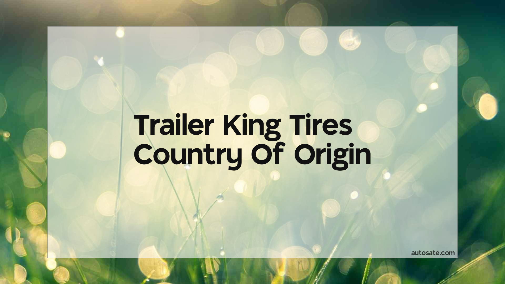 Trailer King Tires Country Of Origin