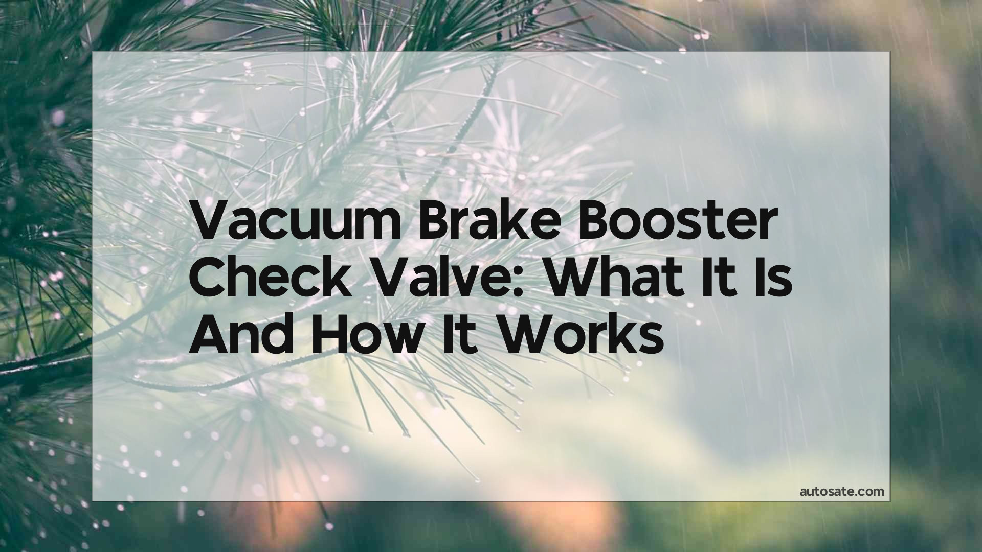 Vacuum Brake Booster Check Valve: What It Is And How It Works