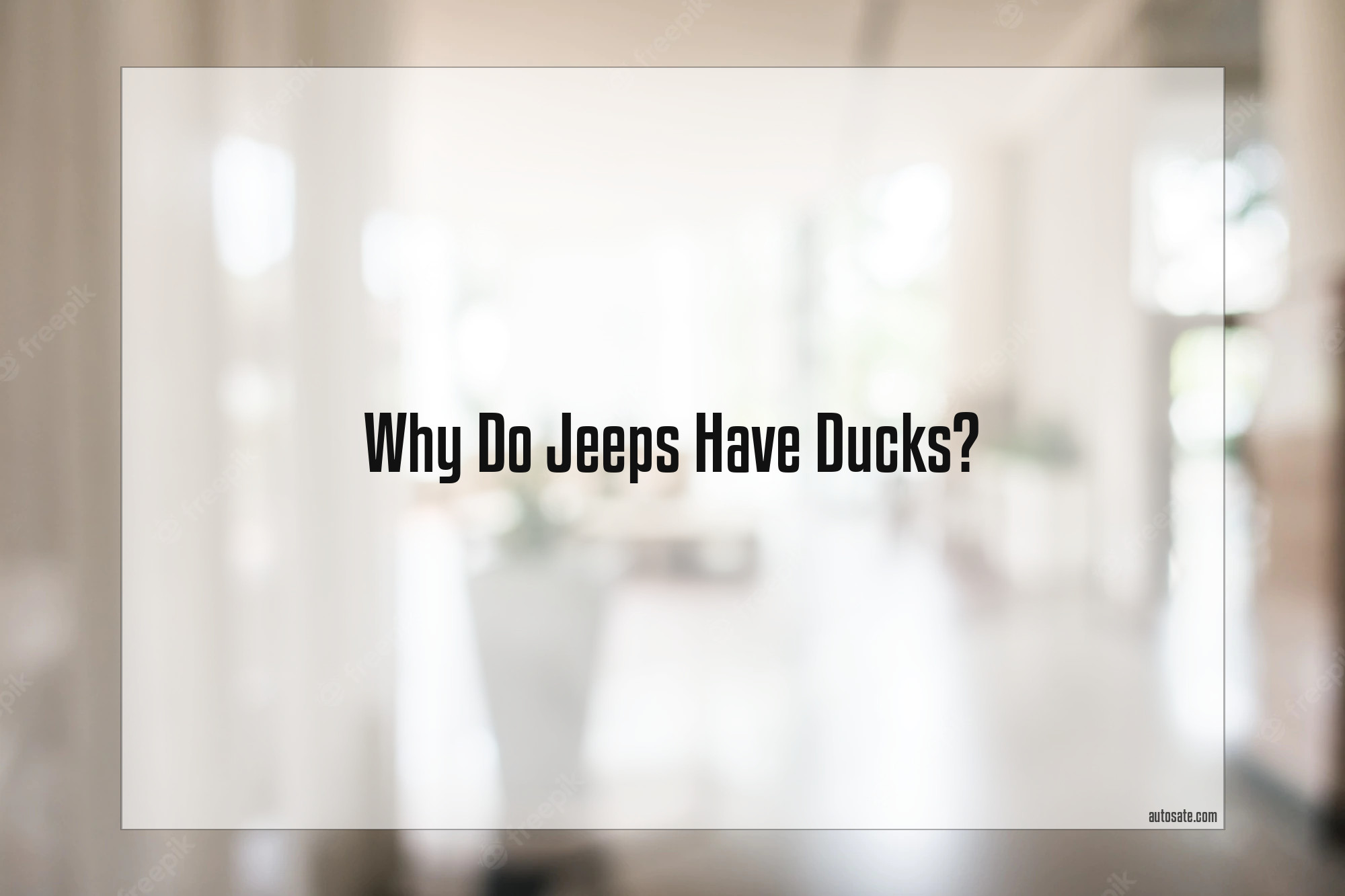 Why Do Jeeps Have Ducks