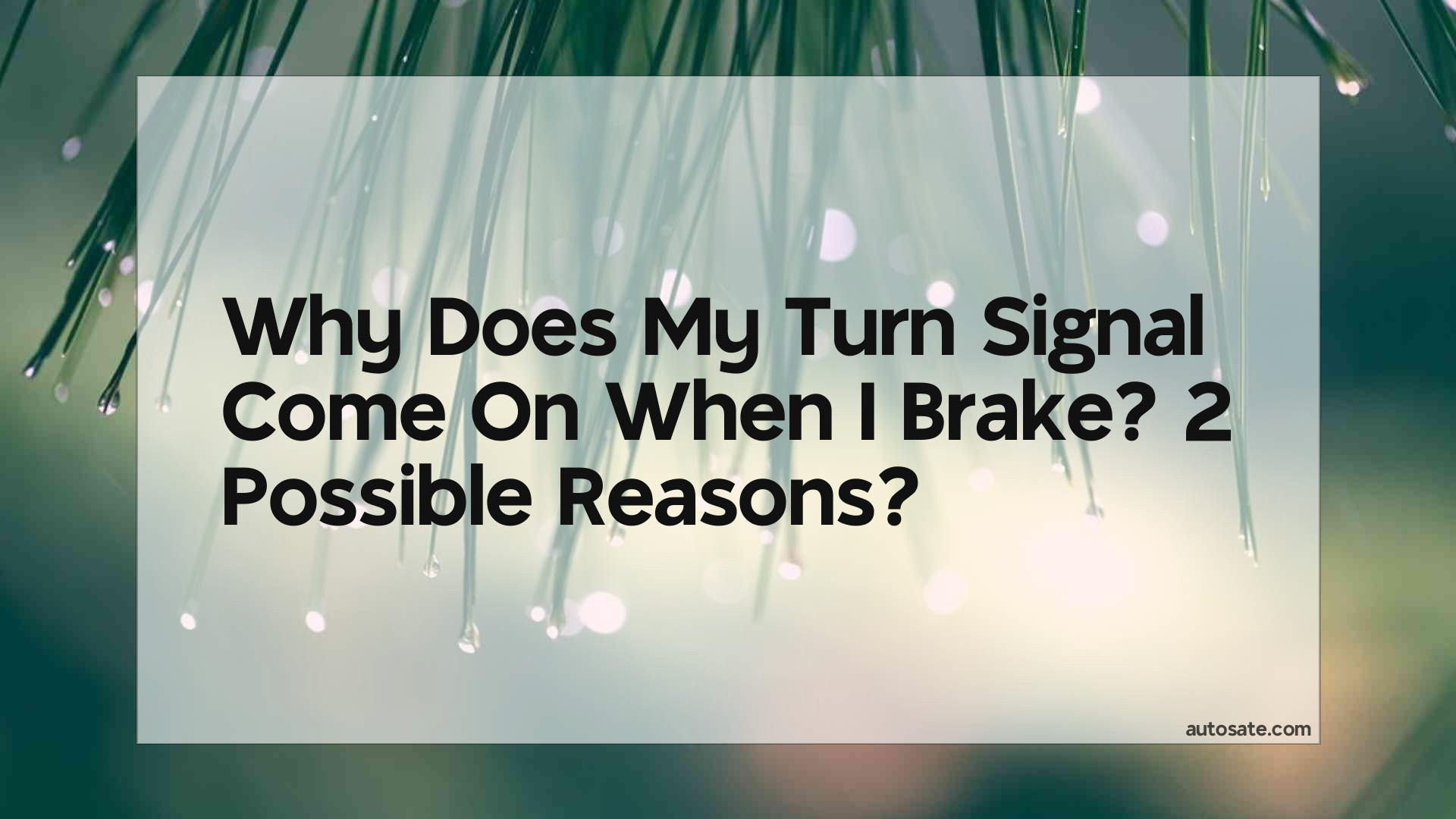 Why Does My Turn Signal Come On When I Brake? 2 Possible Reasons