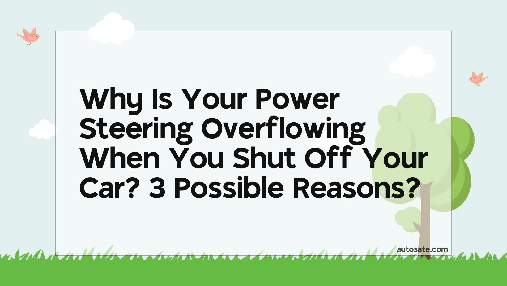 Why Is Your Power Steering Overflowing When You Shut Off Your Car? 3 Possible Reasons